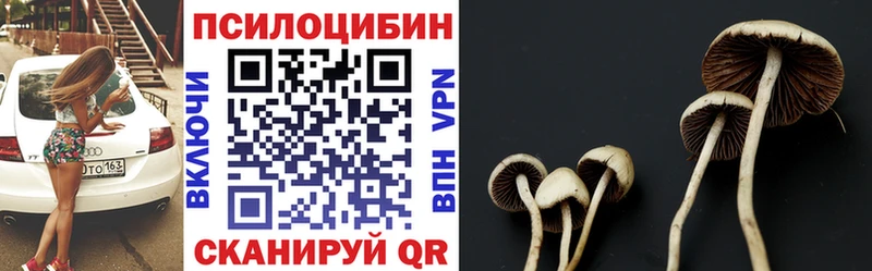 Галлюциногенные грибы MAGIC MUSHROOMS  Данилов 