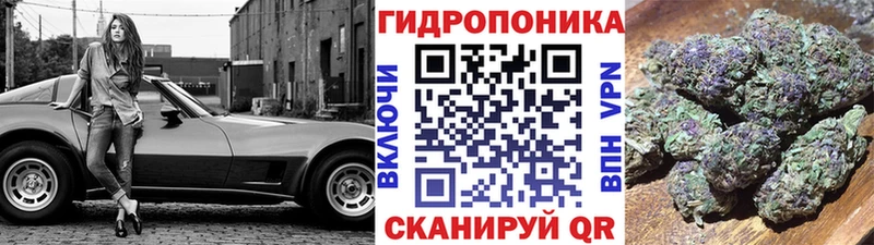 Шишки марихуана марихуана Данилов